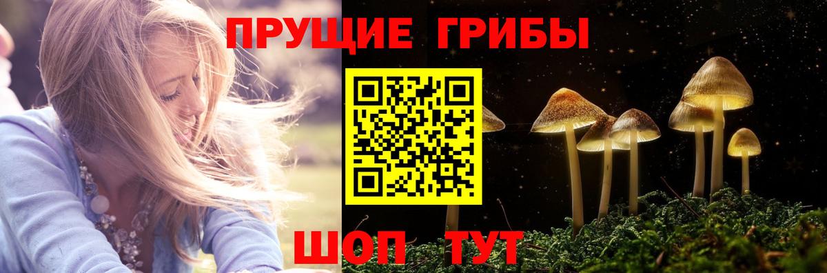 Галлюциногенные грибы прущие грибы Белебей