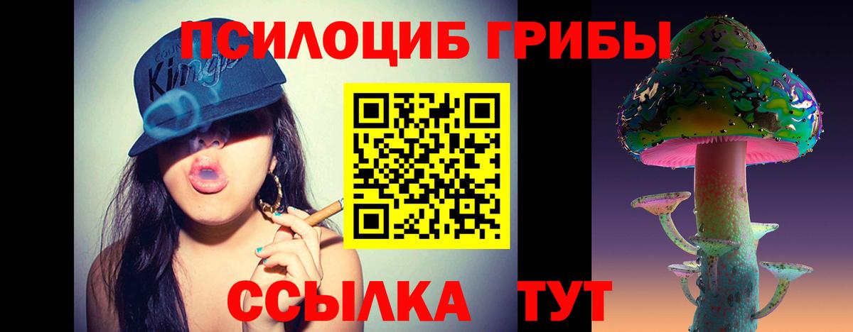 Белебей  Галлюциногенные грибы прущие грибы  Вход с VPN 